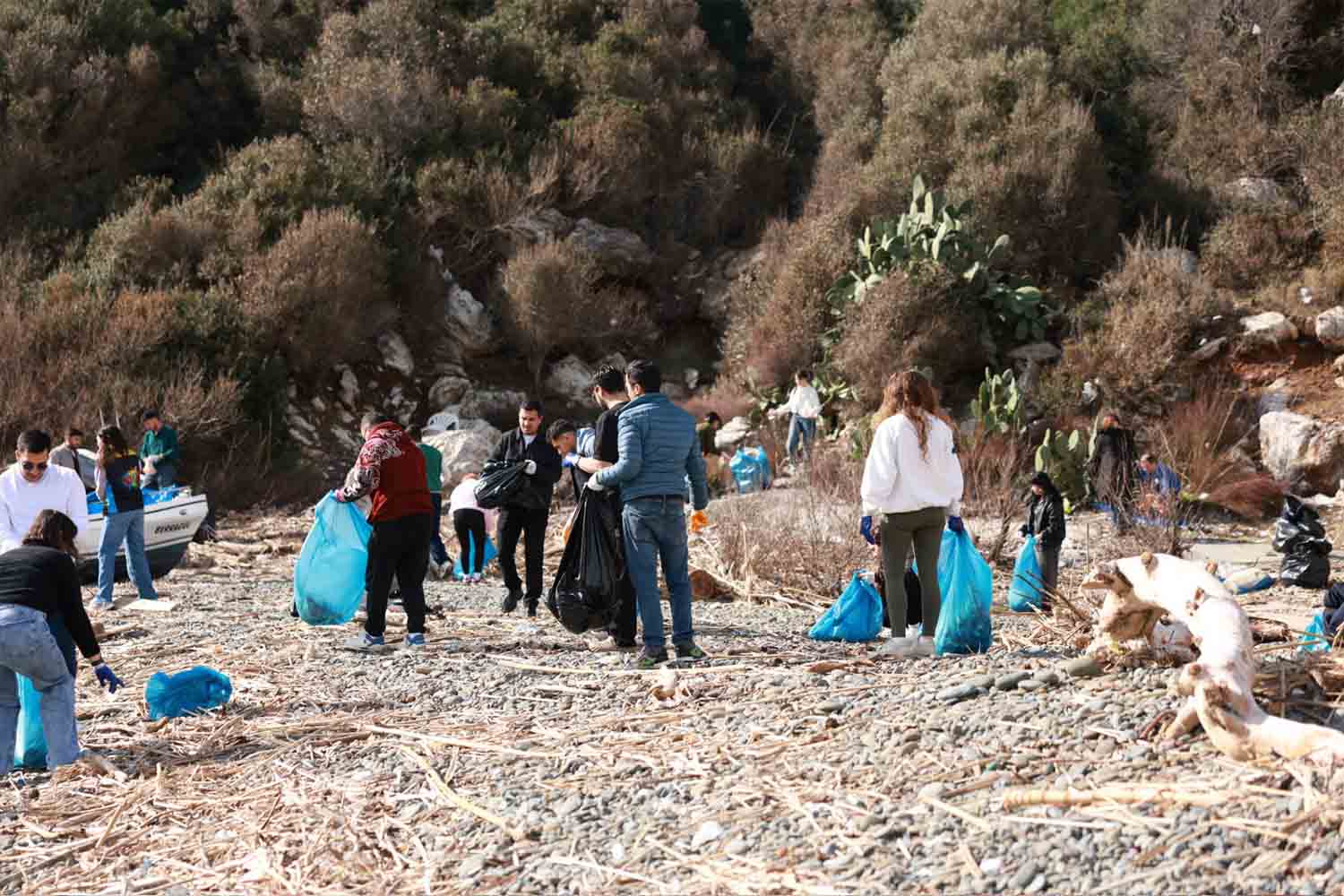 GENÇLERLE SAHİLLER İÇİN EL ELE!