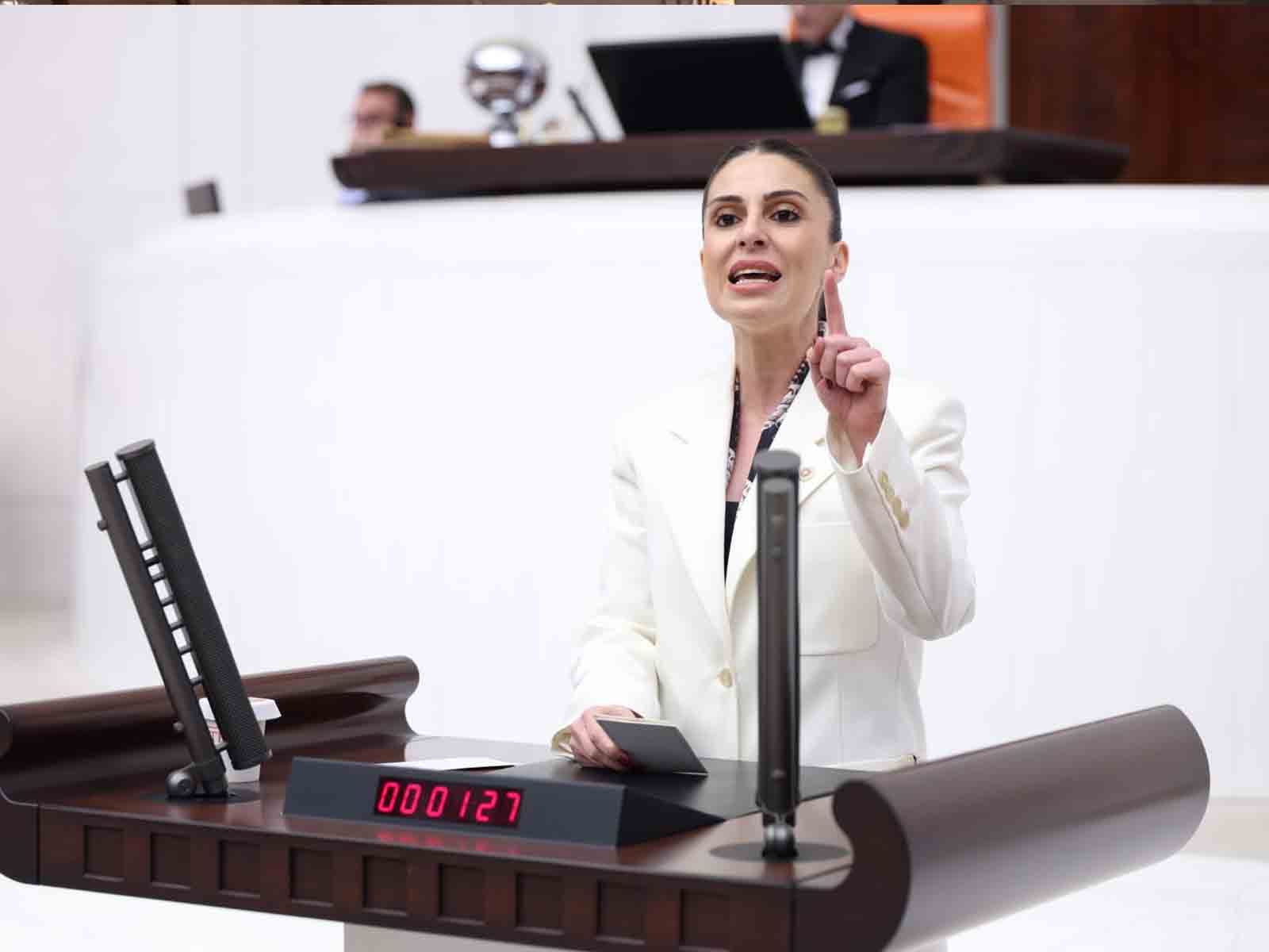 CHP’li Özcan’dan İktidara Akbelen Tepkisi: