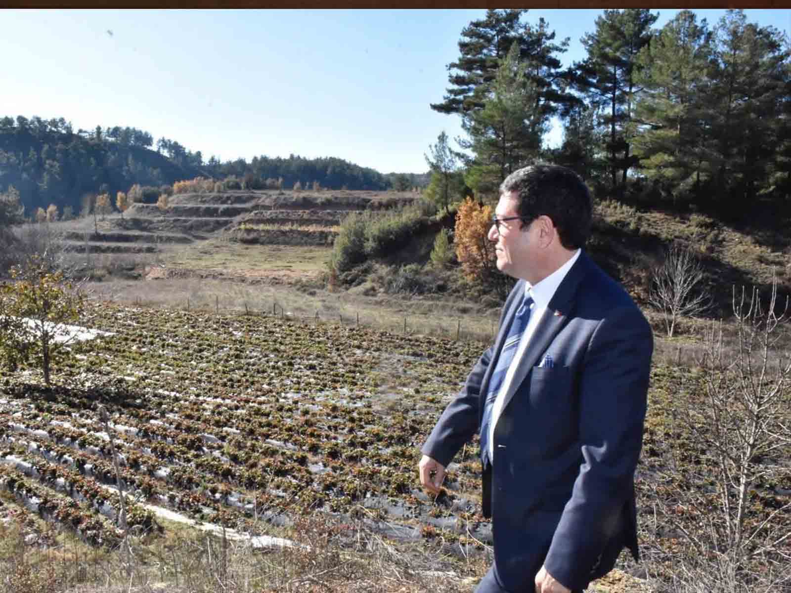 Barış Saylak: “Tarım arazileri ‘hobi’ye kurban edilemez”