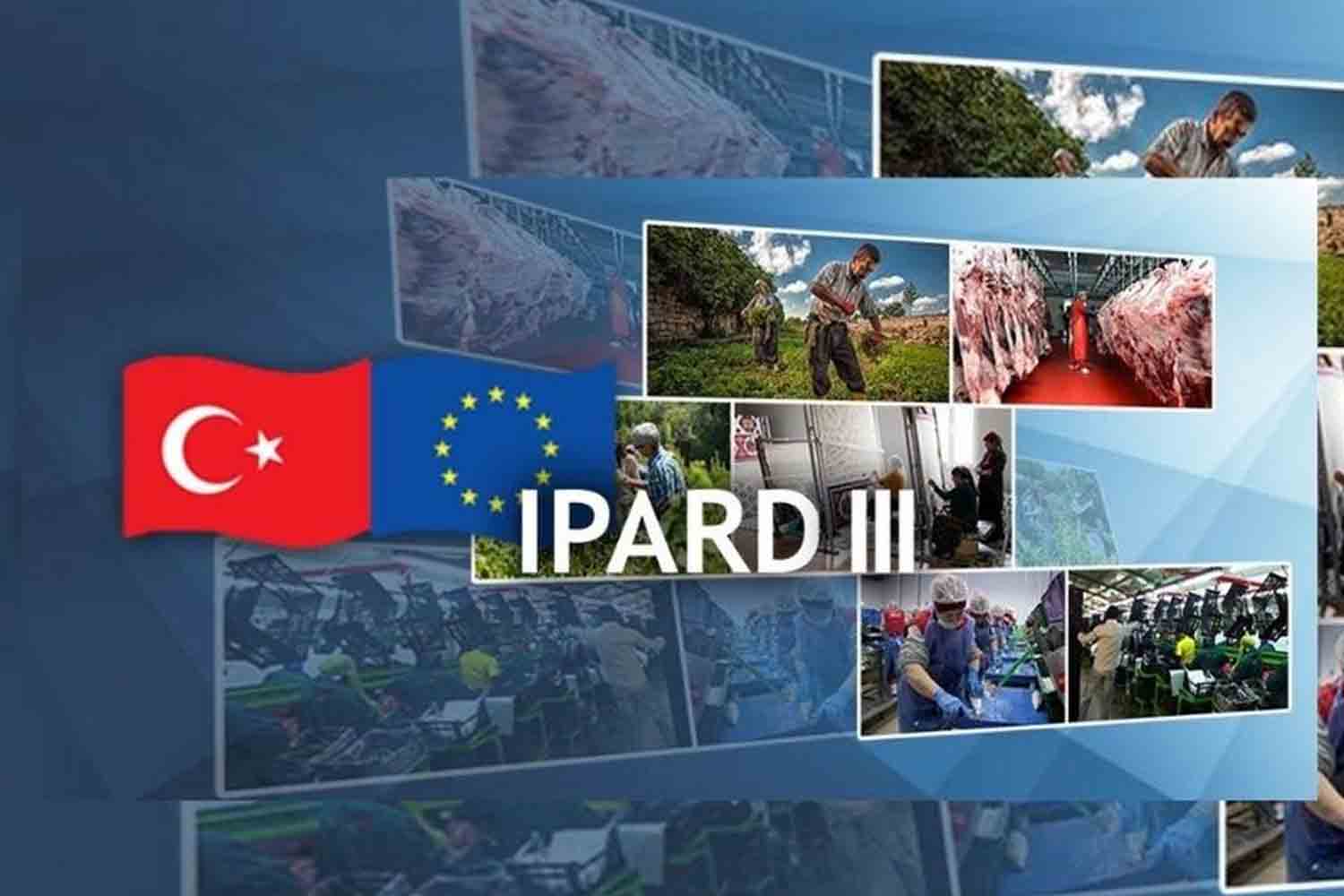 Muğla, IPARD III’te 12 Proje ile Türkiye 4’üncüsü Oldu