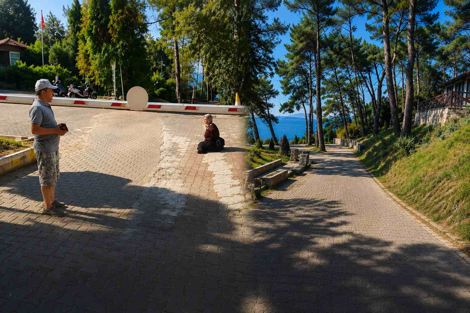 Gökova Orman Parkı’ndaki Tartışmaya Muğla Vakfı’ndan Açıklama